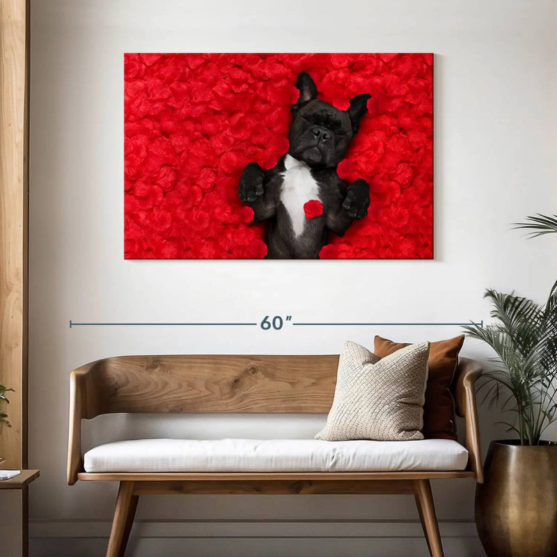 Bouledogue français Brampt Valentines, H 30 po x l 45 po