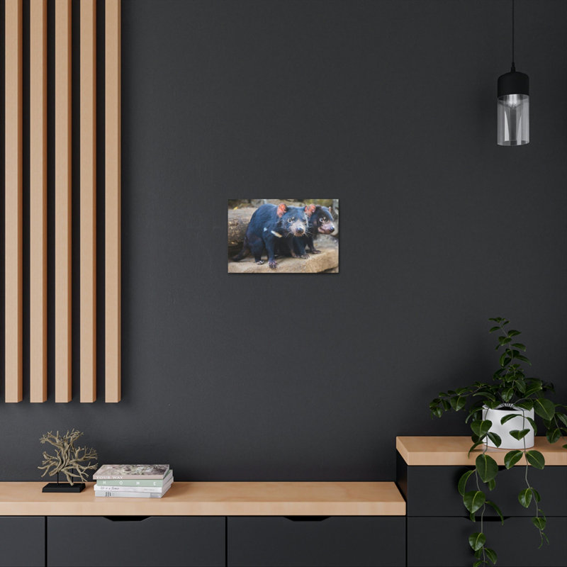 «Tasmanian Devil Couple», art mural animalier, H 12 po x l 18 po