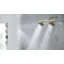 Dual Shower Head Combo Set For Couples with 16 Inch Long Shower Arm-303701813