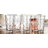 Oolitic 17 oz. Highball Glass Set