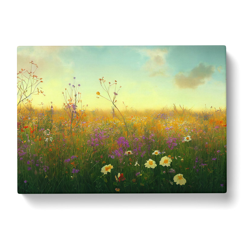 Dreamy Wildflowers Floral - Wrapped Canvas, 50cm H x 76cm W