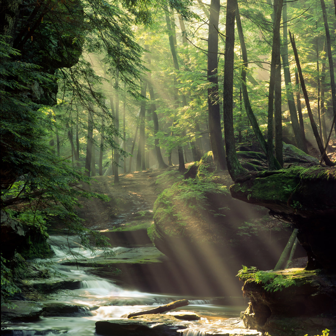 Ashmore Old Man'S Creek, Ohio von Larryknupp - Leinwandfoto