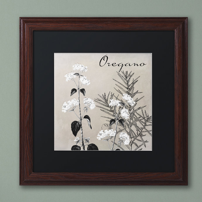 «Flowering Herbs II» par Jadaya, impression encadrée, Noir, H 16 po x l 16 po x P 0,5 po, Cadre brun