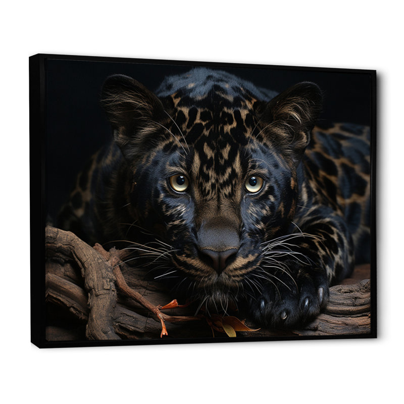 Black White Panther Portrait - Animals Canvas Wall Art, Cadre flottant noir, H 30 po x l 40 po x P 1,5 po