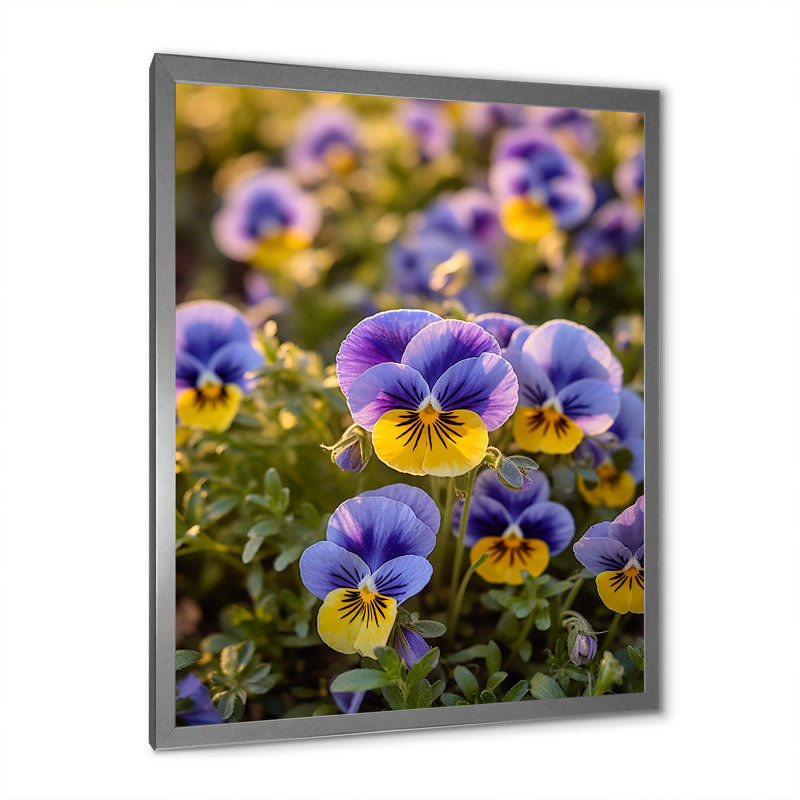 «Mauve, jaune, nature, pensées IV» sur toile, H 44 po x l 34 po x P 1,5 po, Cadre simple argenté