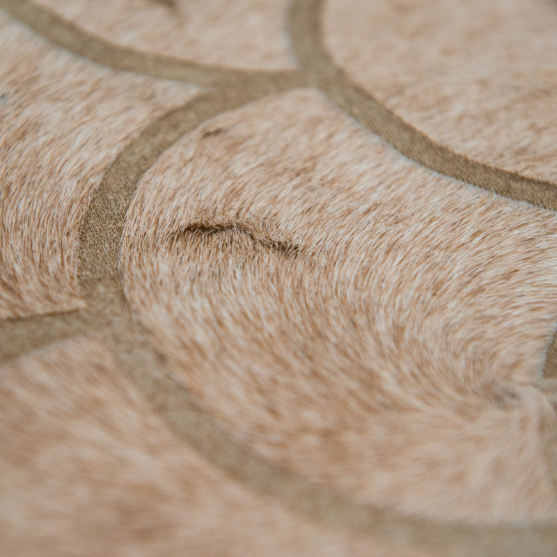Luneta Cowhide Area Rug in Brown