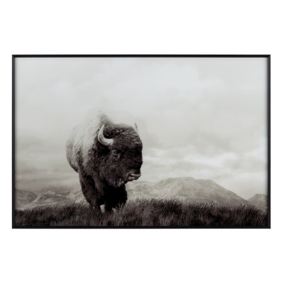 Bison Life