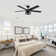 Rish 52'' Ceiling Fan with Light Kit