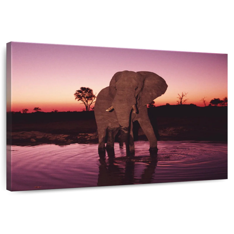 Elephant Sunrise Bathing, 30" H x 45" W