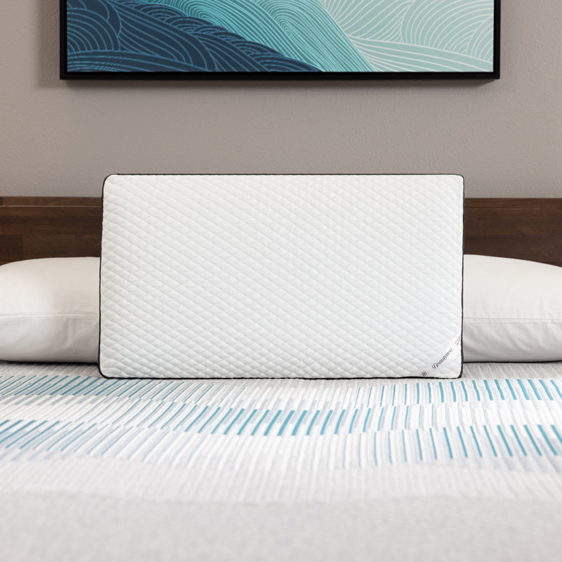Beautyrest, mousse à losanges noirs avec coussin Aquacool, un coussin, Grand