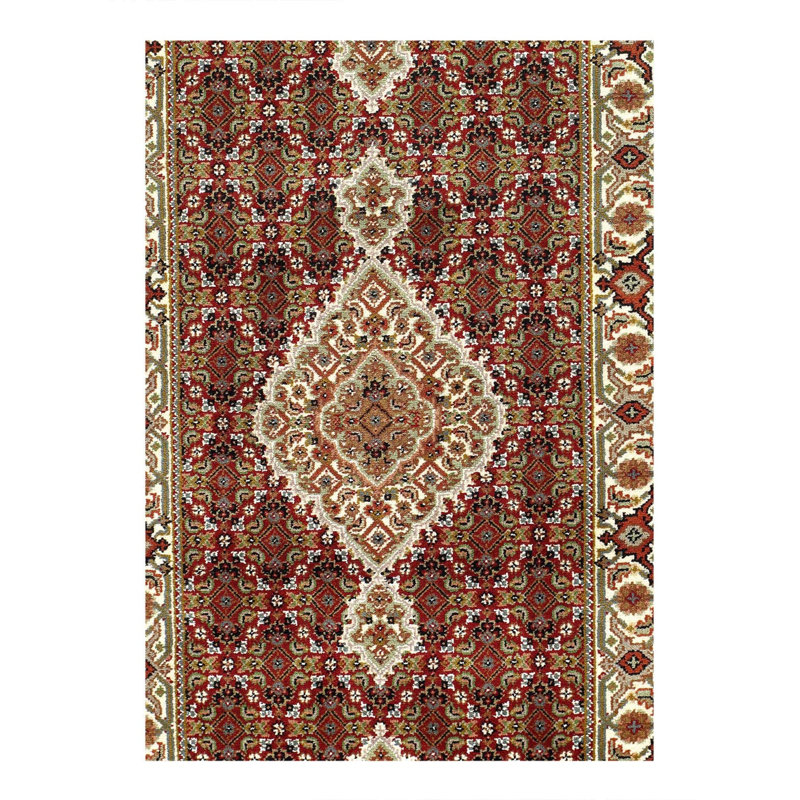 Oriental Area Rug in Red
