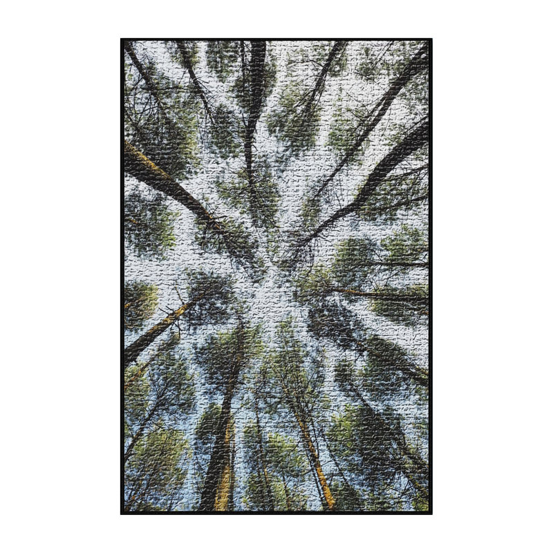 Tapis vert Point of View 158, Rectangle 2 pi x 3 pi