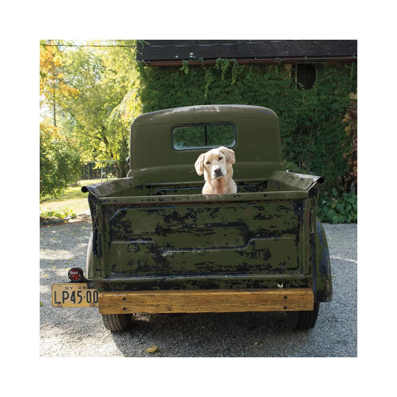 Get Out Of Dodge Hunter Green by Jim Dratfield - Wrapped Canvas Print, 30.48 cm H x 30.48 cm W