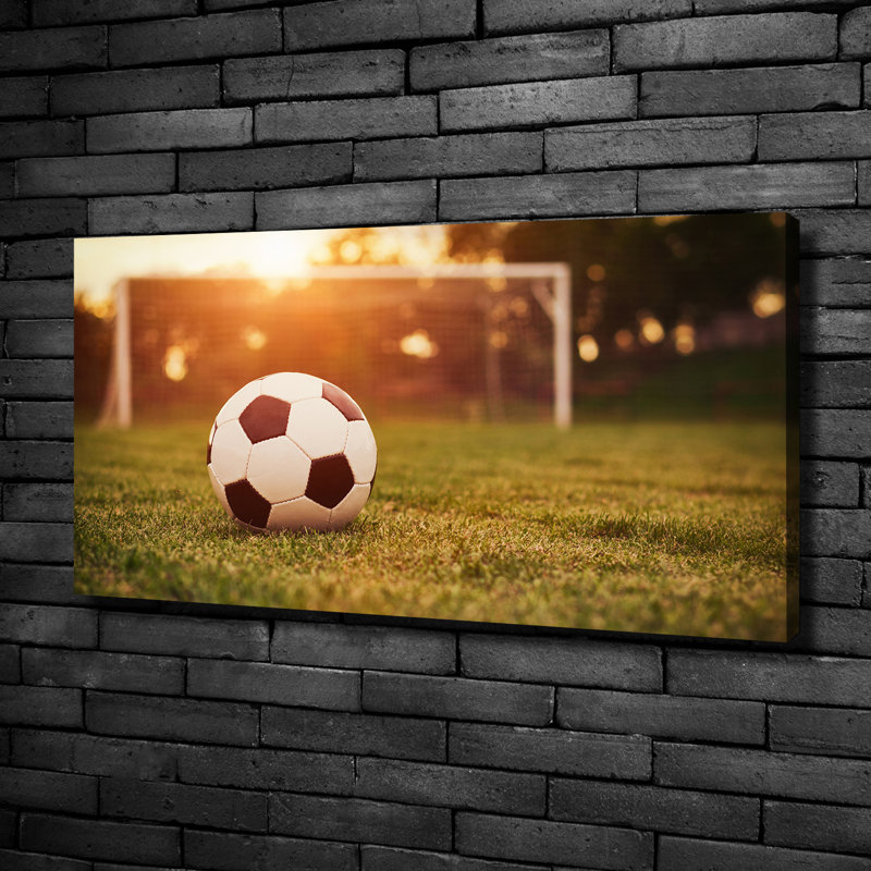 Ball On Turf - No Frame Print on Canvas