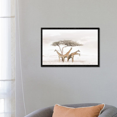 White Giraffes by Klaus Tiedge - Print on Canvas