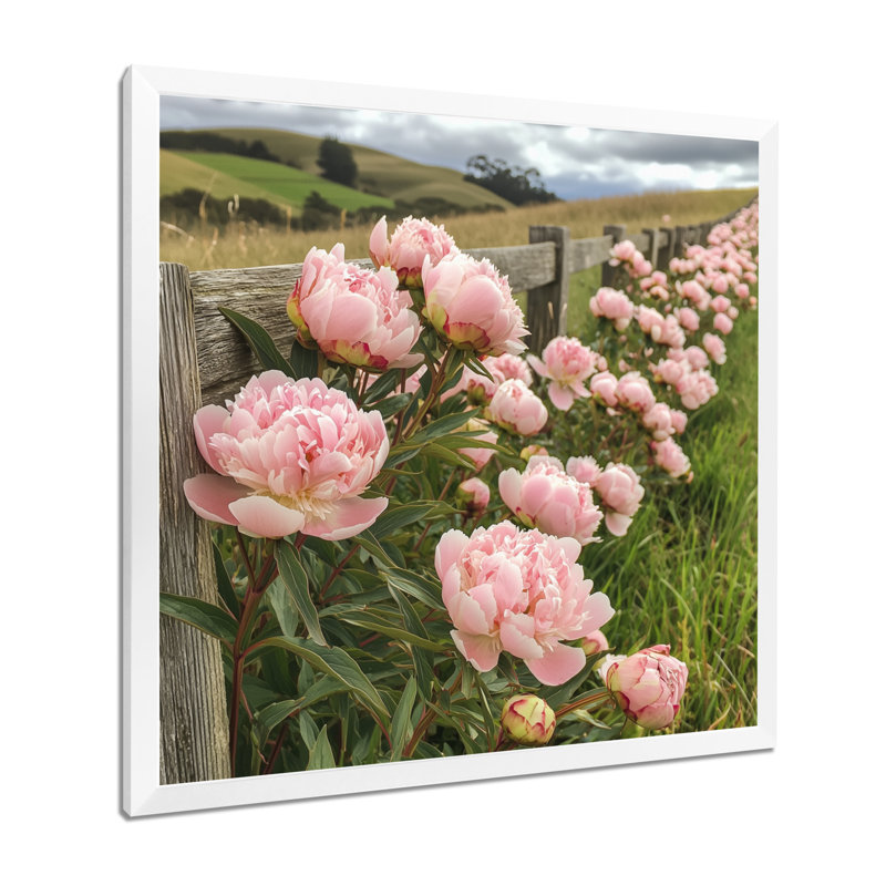 Photo de pivoines dans le enclos à cheval II - pivoines, art mural, H 36 po x l 36 po, Blanc