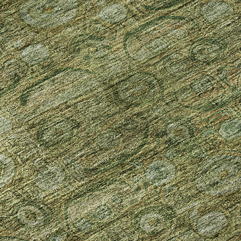 Premium Machine Washable Lucchesi AMF1762 Border Rug, Rectangle 10' x 14'