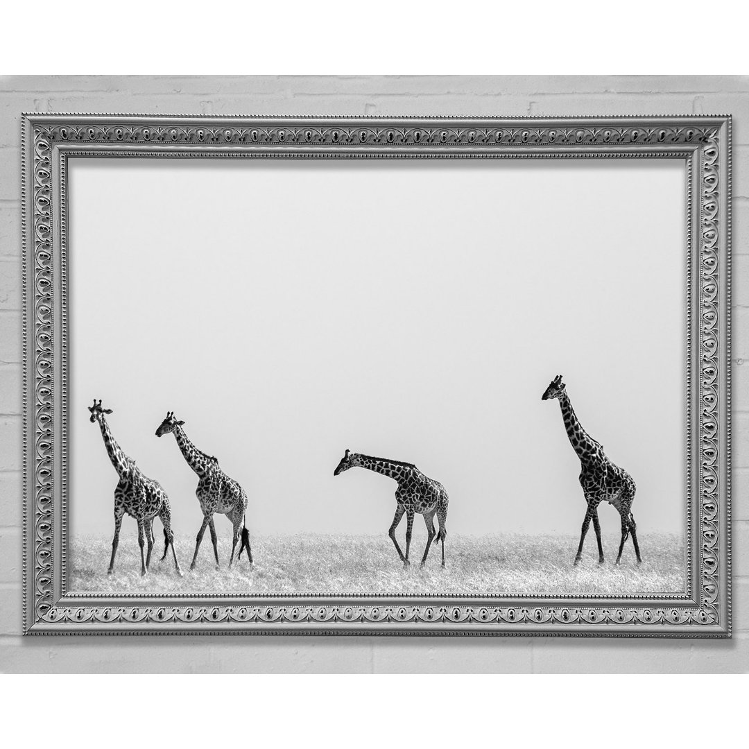 Giraffe Safari Lineup - Einzelne Bilderrahmen Kunstdrucke