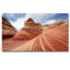 The Dunes Print-38104200-38104205