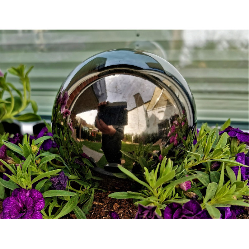 Darzell Stainless Steel Gazing Ball, 20cm H x 20cm W x 20cm D, Black polish
