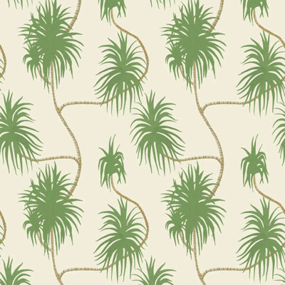 Dragon Tree - Wallpaper