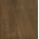 Antique Oak