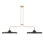 Hunter Moriso 2 Light Large Chandelier Ceiling Light Fixture