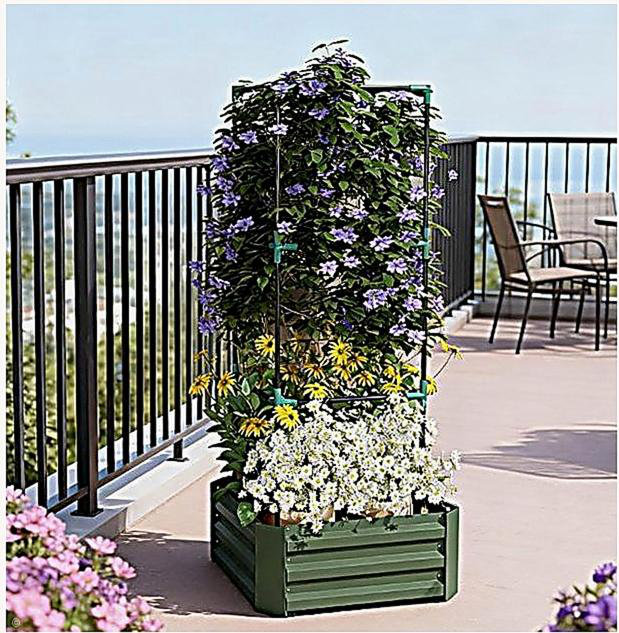 Garden Bed,Galvanized Planter Box,Raised Garden Bed with Cage for Climbing Vines, Green