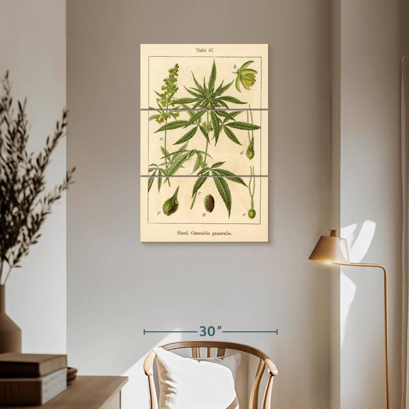 Schéma rétro de chanvre, H 57 po x l 36 po