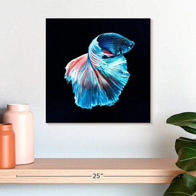 Brampt Glowing Blue Betta Fish