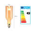 Ailie 3 2000 Bulb