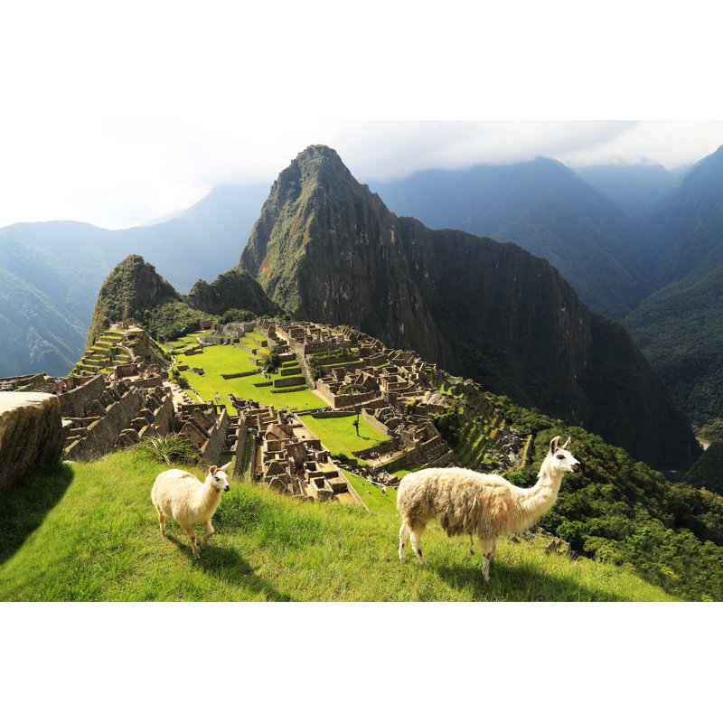 Llama At Peru by Padchas - Wrapped Canvas Print, 30cm H x 46cm W x 3.8cm D