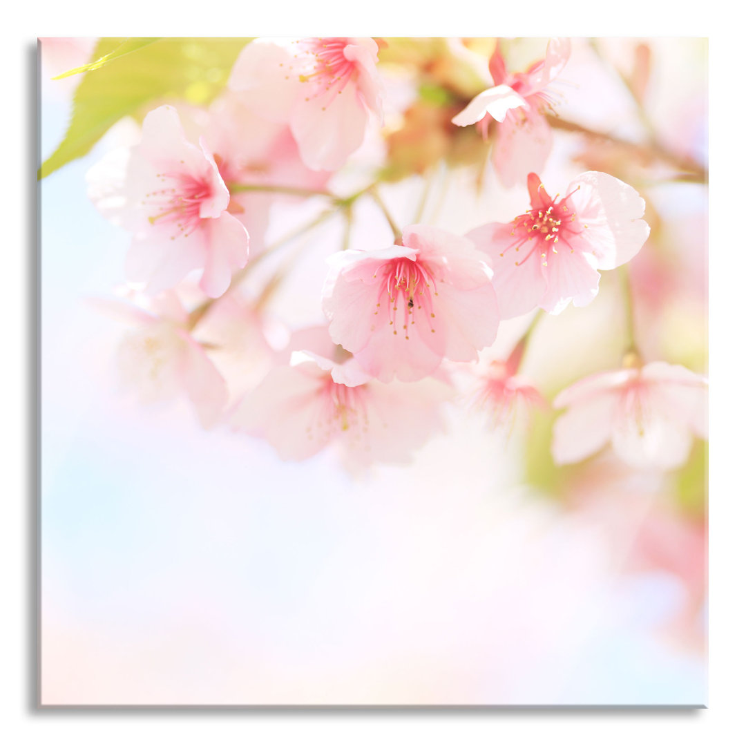 Glasbild Kirschblüten auf einem Baum