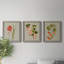 «Botanical Array IV», ensemble de 3 reproductions d'art sur toile-908556557-908556561