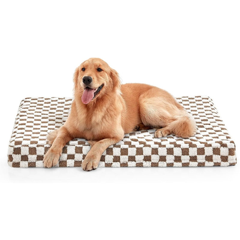 Lit orthopédique pour chien Modern