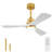 Hot Sales 42 Inch Indoor Ceiling Fan With Dimmable LED Light 3 Solid Wood Blades Remote Control Reversible DC Motor-121071220-121071225