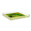 Family Pheasants Acrylic Square Decorative Tray-1415024052-1458602211