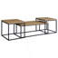 Ensemble de tables basses 3 pièces Rosey Mango