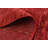Neace Red Rug