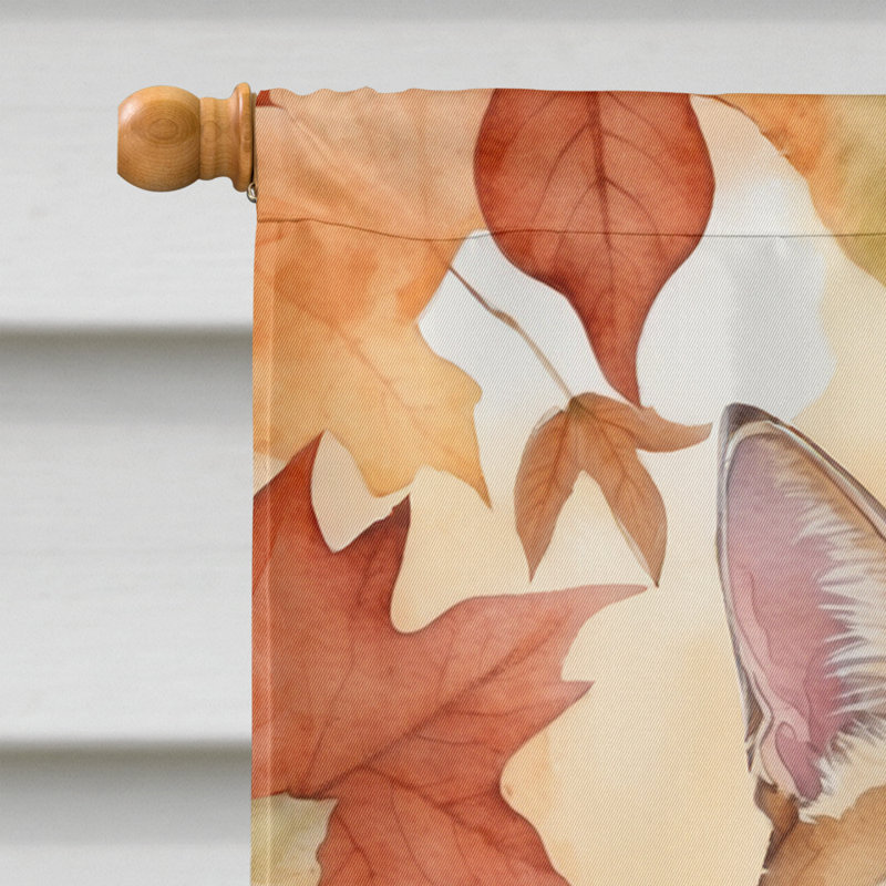 Chat en feuilles d'automne, German Rex