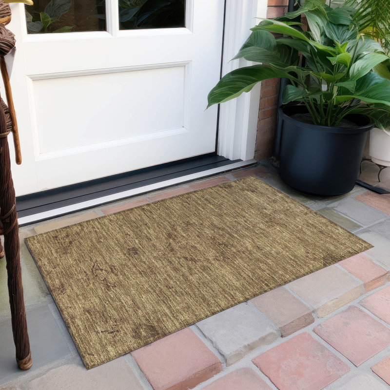 Machine Washable Indoor/Outdoor Segin ACN1111 Brown, Rectangle 1'8" x 2'6"