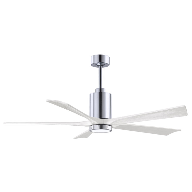 Patricia 60'' Ceiling Fan with LED Lights