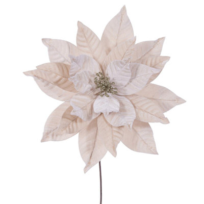 Tiges de poinsettia Clementina