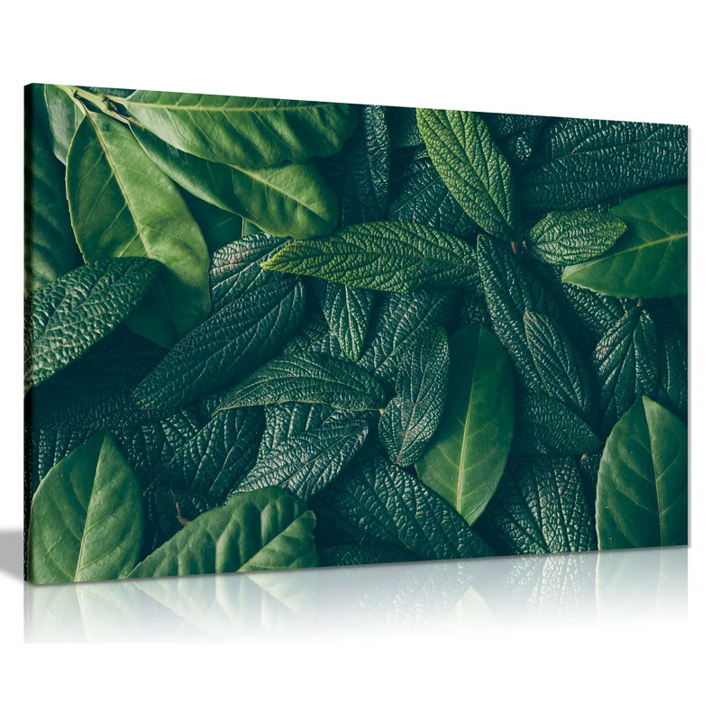 Green Leaves Nature - Wrapped Canvas Print, 51cm H x 76cm W