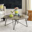 Brydie Coffee Table-22736299