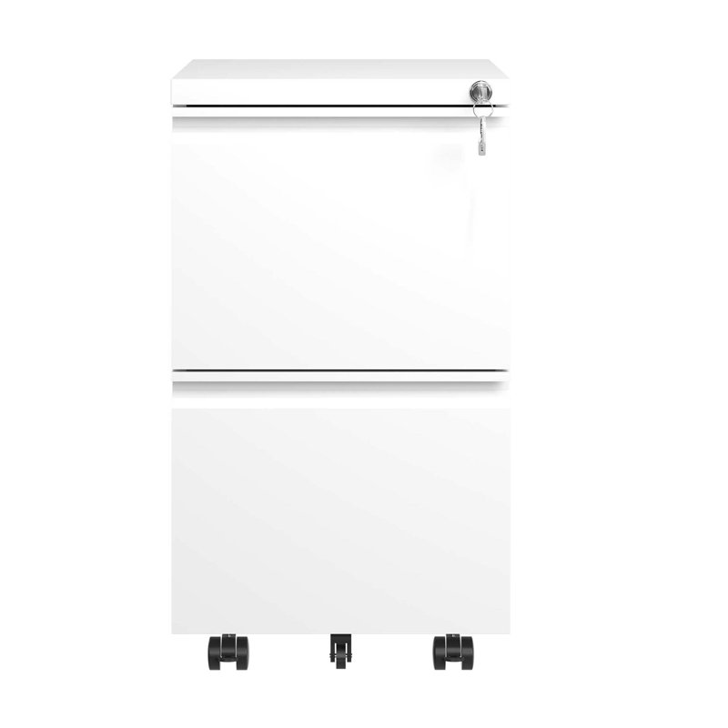 2 Drawer Metal Mobile File Cabinet with Lock, Ideal for Hanging Legal/Letter/A4 Size Documents, Fully Assembled Except Wheels for Easy Setup