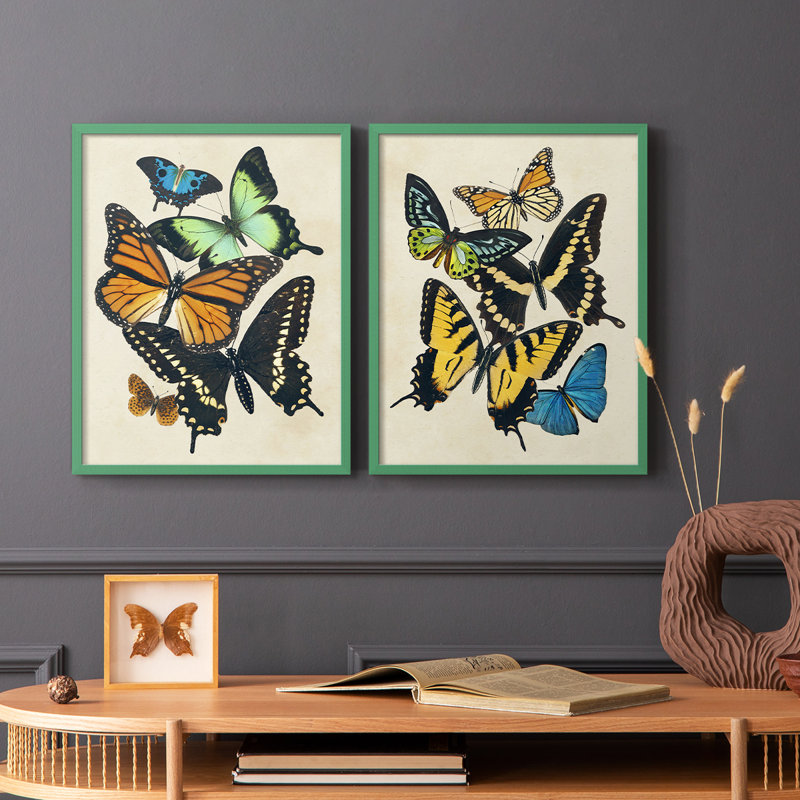 «Collage Butterflies I-Premium», reproduction encadrée prête à accrocher - aucun clou requis - aucun clou requis, Gris