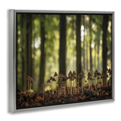 «Mushroom Sprouts in Forest», art mural sur toile flottante par Martin Podt