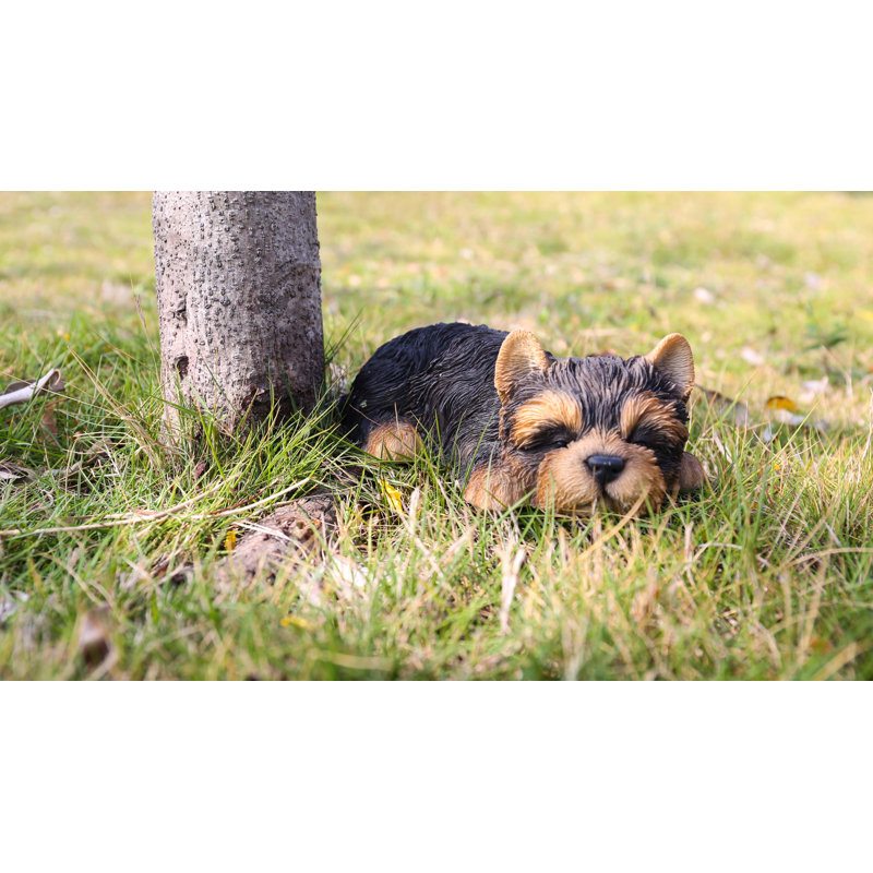 Statue de chiot Yorkshire Terrier endormi