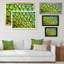 Plumes de paon vert - reproduction d'art sur toile-1166767244-1166767245
